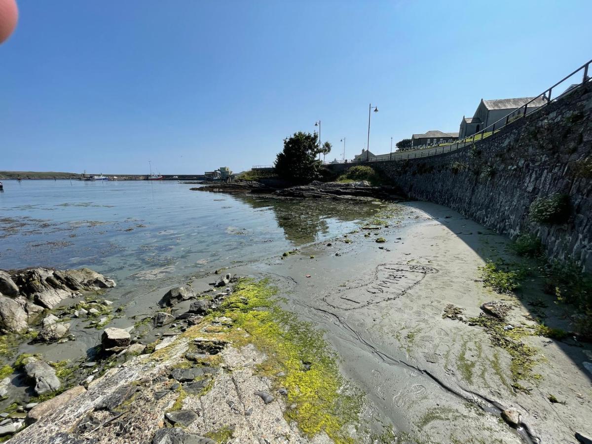 Lovely Apartment Overlooking The Harbour And Bay Ardglass Exterior foto